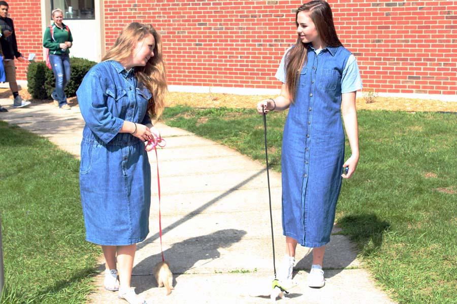 Walking the ferrets at lunch, Sophmore, Hannah Owings and Senior, Kate Barton take the ferrets for a walk during Environmental ED. The ferrets are part of the animals of the Environmental ED room.