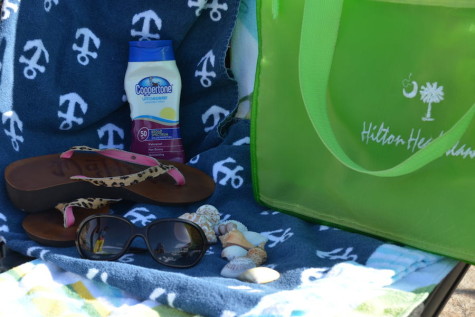 The Debate: Should you leave for Spring Break?