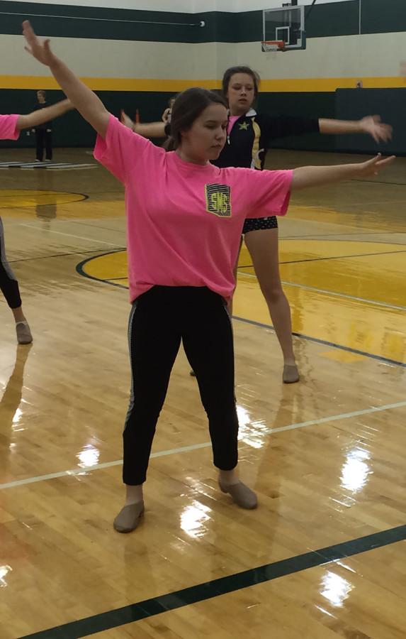 Kate Gawlick works on the newest dance that will be performed at Dance Marathon, starting out as a slow dance, then quickly becoming a hip hop routine.