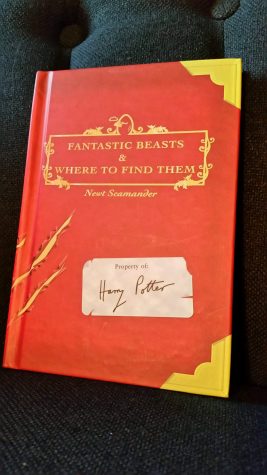 ‘Fantastic Beasts and Where to Find Them’: A Spin-off Textbook of the ‘Harry Potter’ Series