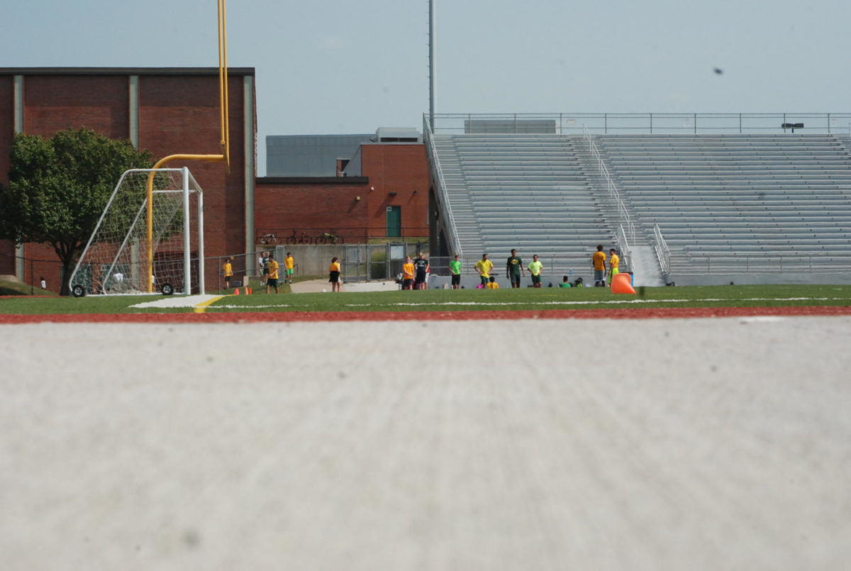 Little view of new stadium with the viewpoint of the worm. While this picture was being taken there was team games class going on, on the new field.