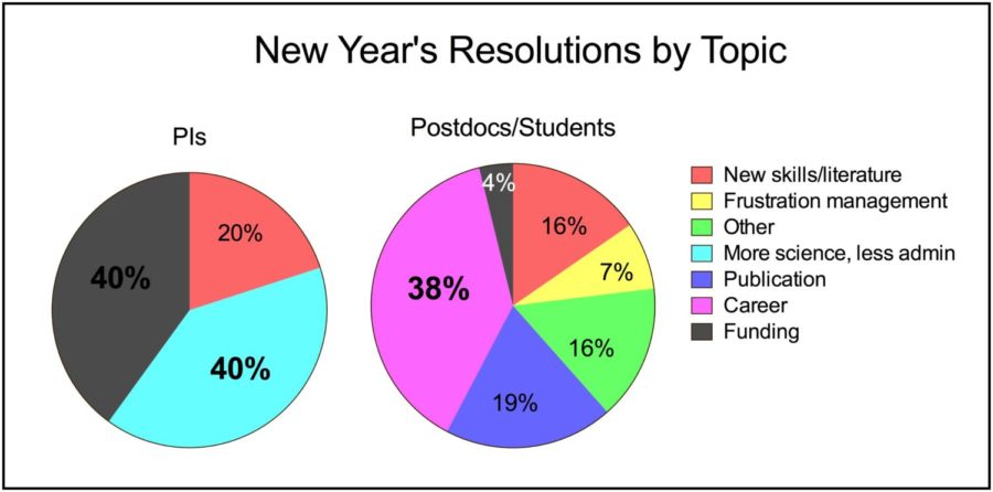 Setting Long Term Goals for the New Year