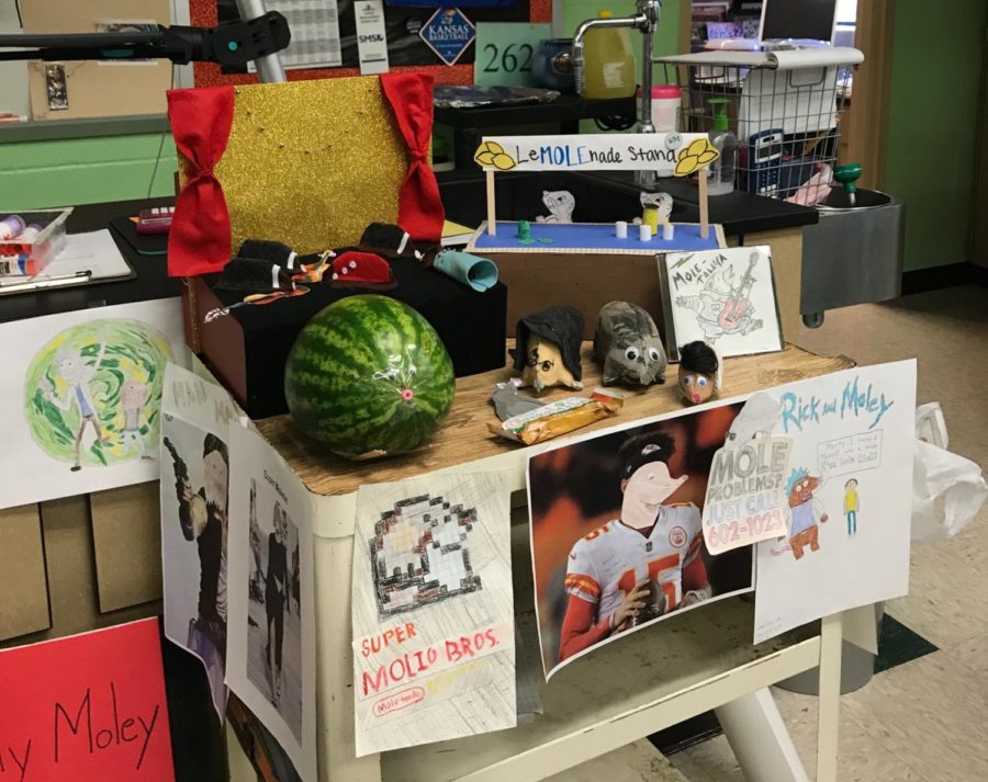 With moles in mind, Allie Long's chemistry students made projects for Mole Day.